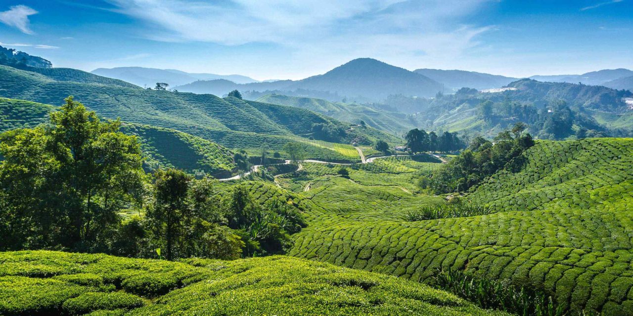 https://www.traveltomoroco.com/wp-content/uploads/2015/07/post_04-1280x640.jpg