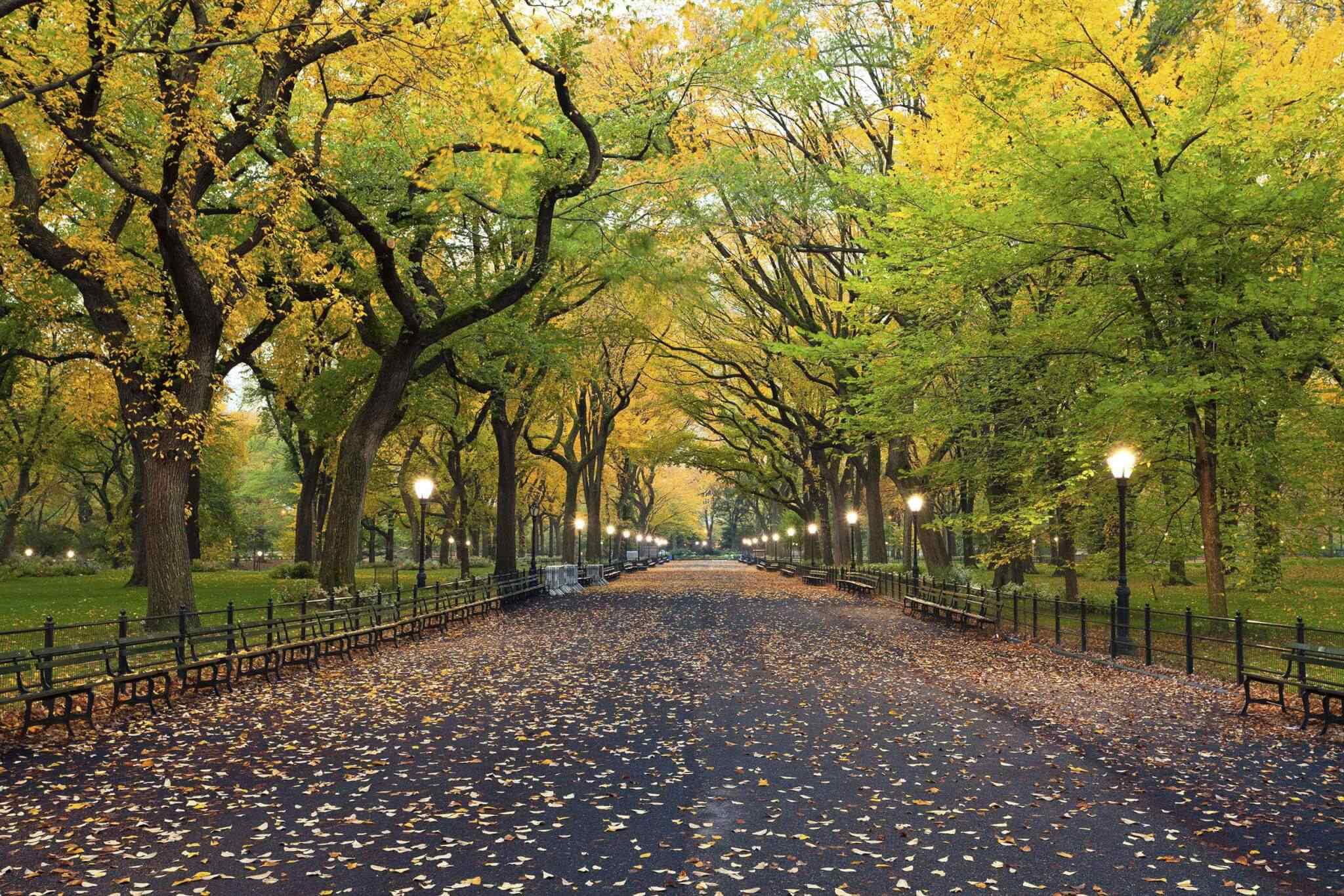 https://www.traveltomoroco.com/wp-content/uploads/2018/09/destination-new-york-02.jpg