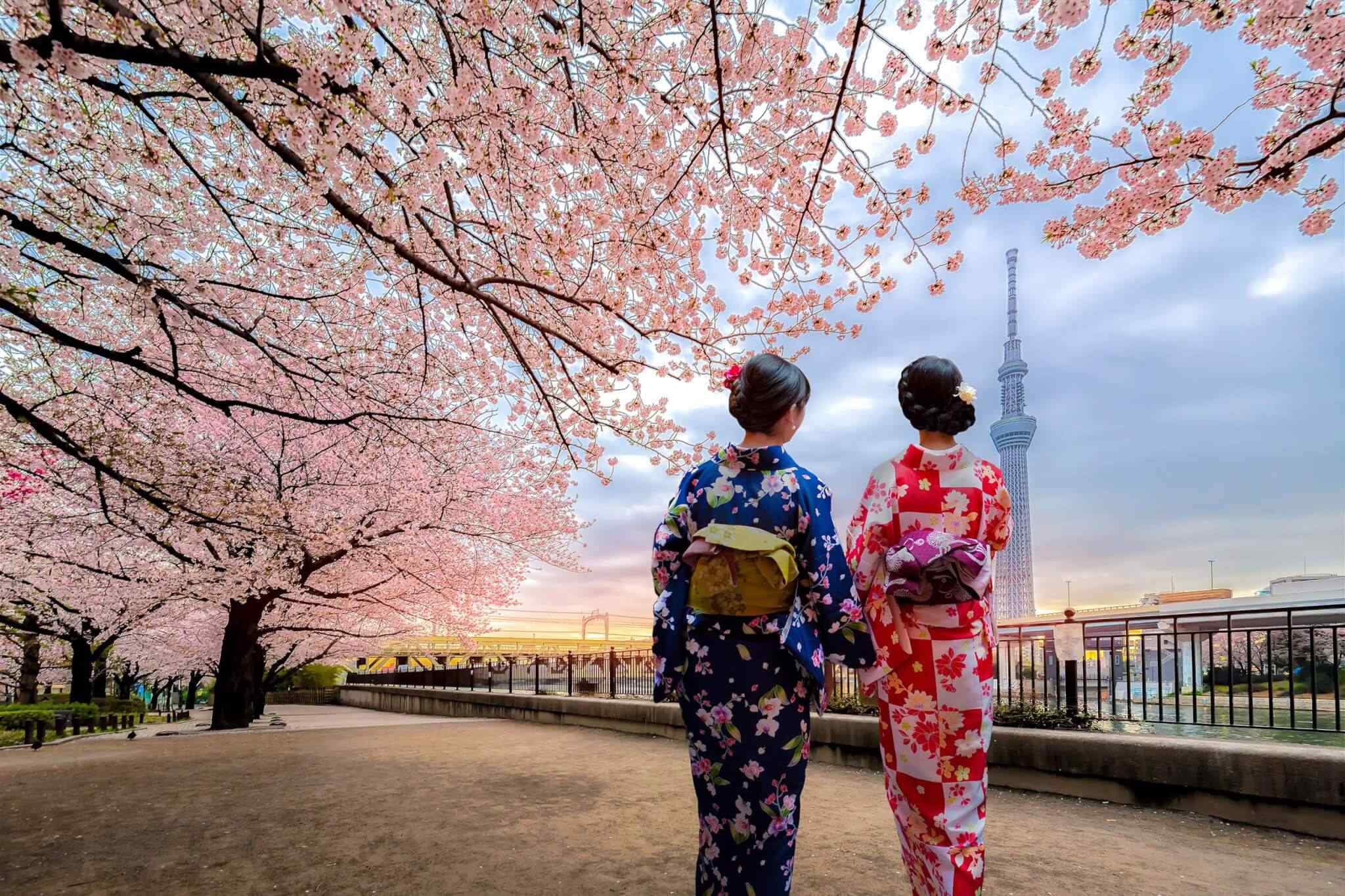 https://www.traveltomoroco.com/wp-content/uploads/2018/09/destination-tokyo-03.jpg
