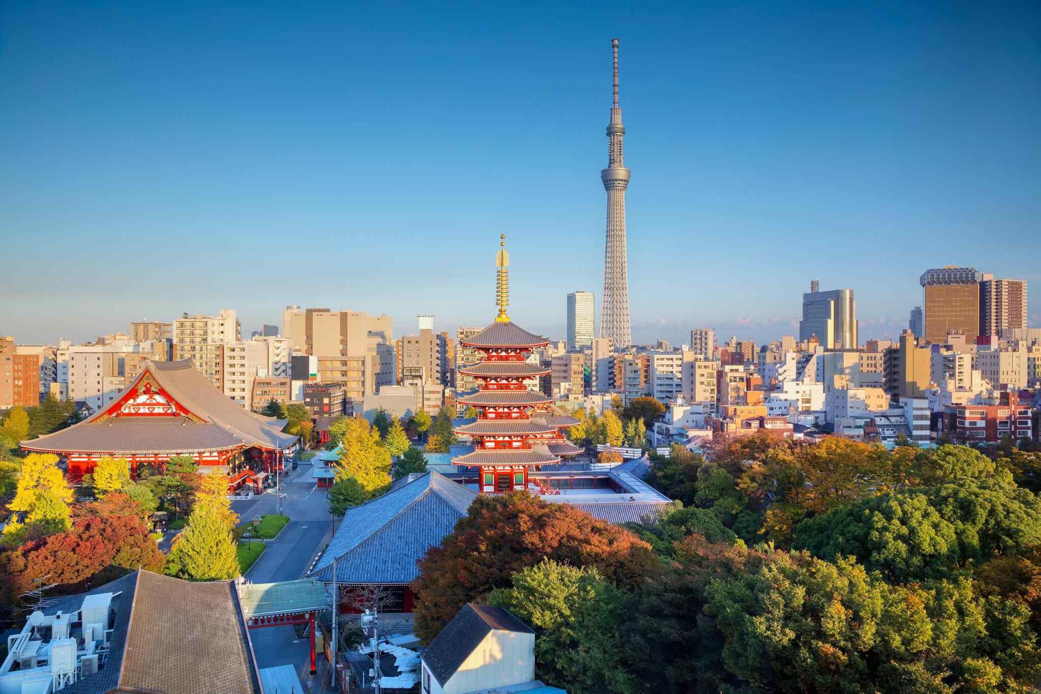 https://www.traveltomoroco.com/wp-content/uploads/2018/09/destination-tokyo-04.jpg