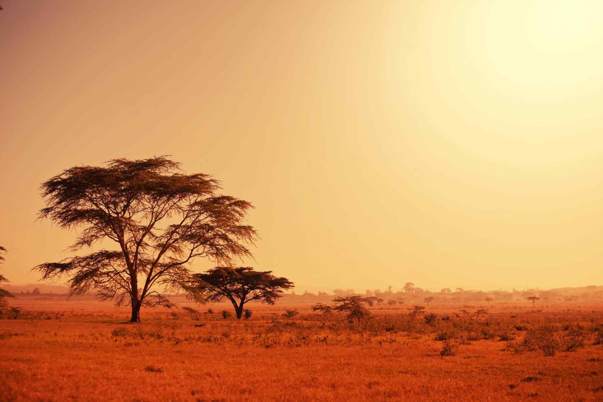 https://www.traveltomoroco.com/wp-content/uploads/2018/09/tour-africa-02.jpg