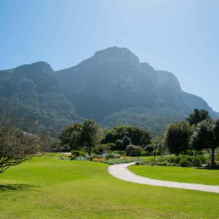 https://www.traveltomoroco.com/wp-content/uploads/2018/09/tour-capetown-03-320x320.jpg
