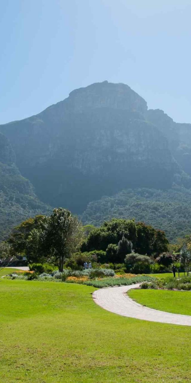 https://www.traveltomoroco.com/wp-content/uploads/2018/09/tour-capetown-03-640x1280.jpg