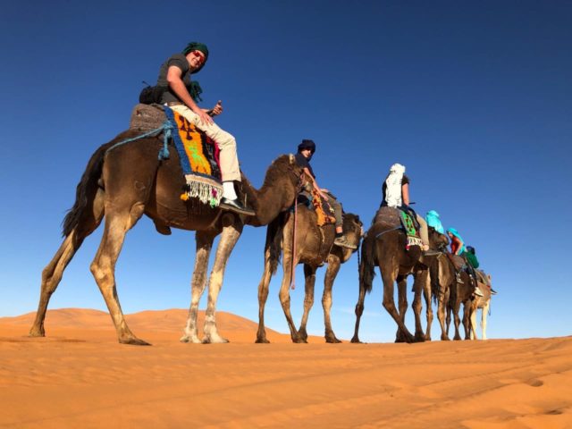 Travel to Morocco for 16 days
